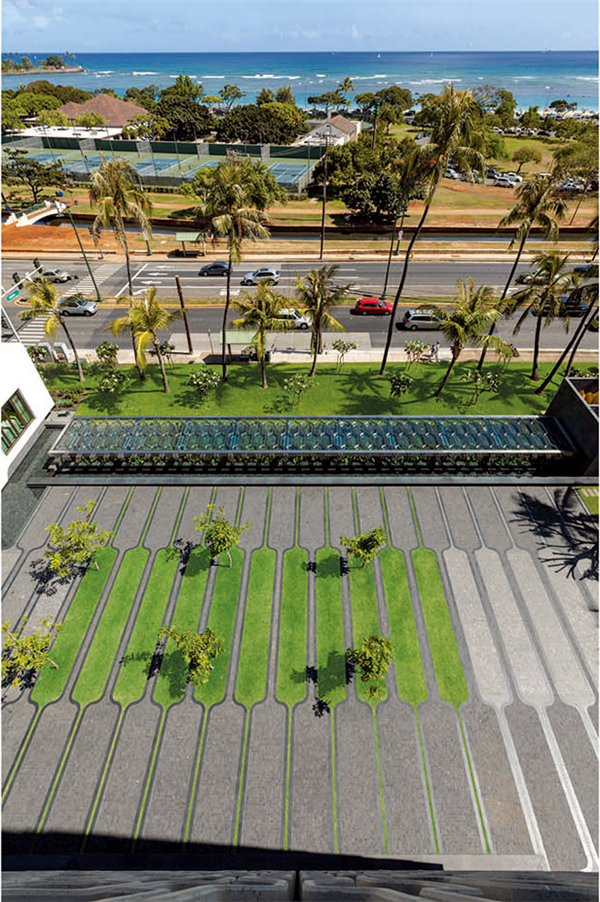 ASLA：夏威夷IBM大樓廣場設(shè)計