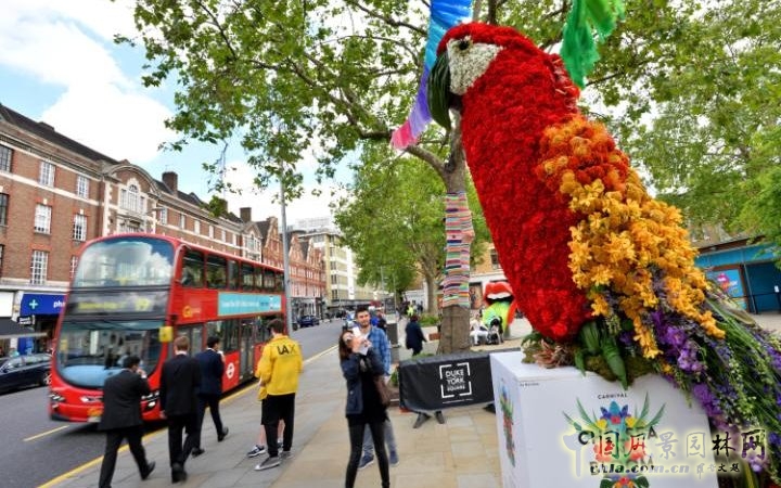 英國2016切爾西花展掀起的花藝設計熱潮