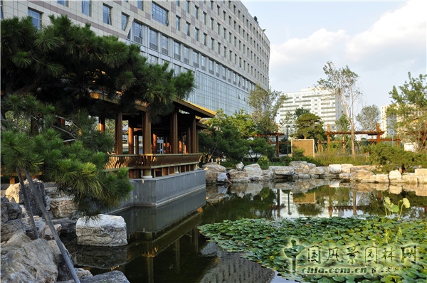 郭麗文：北大國際醫院園林的傳統文化特色