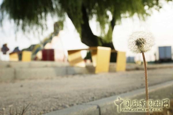 9月23號頭條：意大利綠色廣場項(xiàng)目賞析