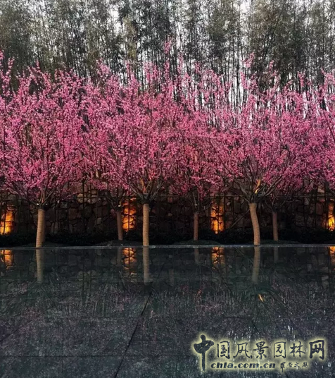 2016園冶杯專業(yè)獎(jiǎng)參賽項(xiàng)目：北辰旭輝壹號(hào)院