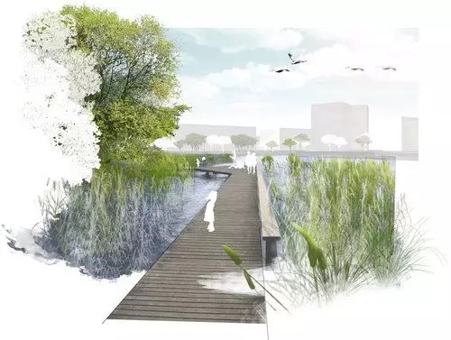 河道景觀植物搭配你知道嗎？