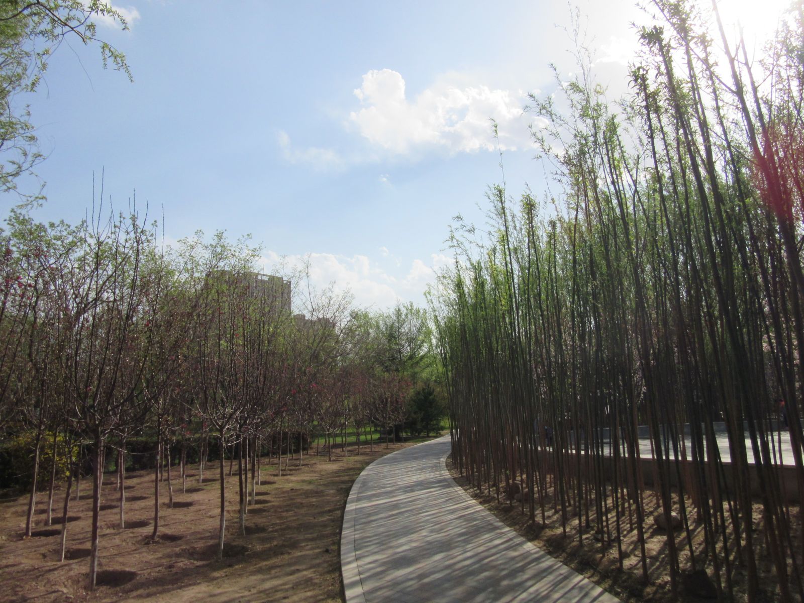 2016園冶杯專業獎參賽項目:大同市兒童公園改造項目