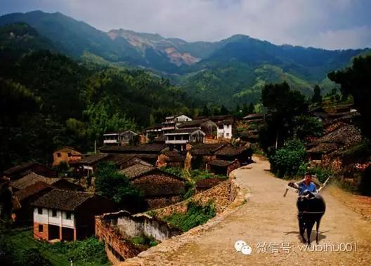 對馮驥才先生批評傳統村落和古村旅游發展問題的不同看法