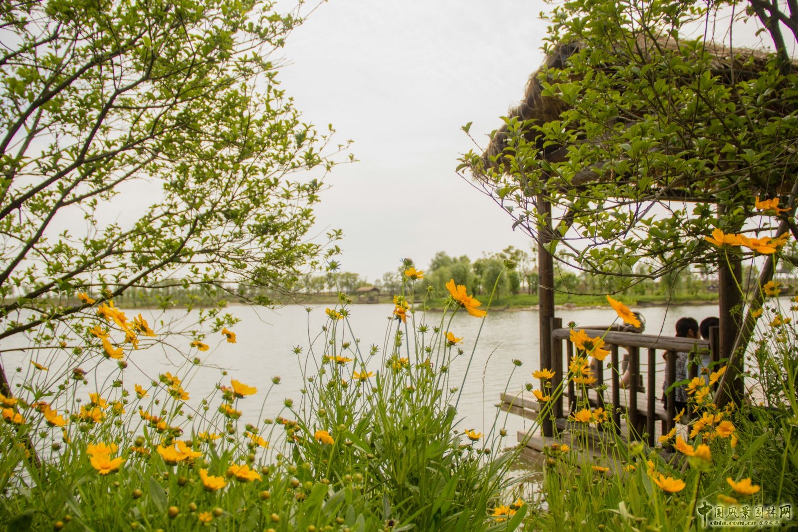2016園冶杯：杵山生態(tài)公園