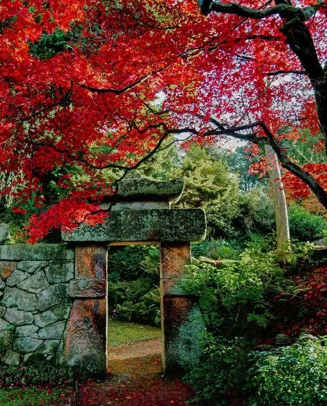 園林鑒賞：日本庭院中的美學禪意