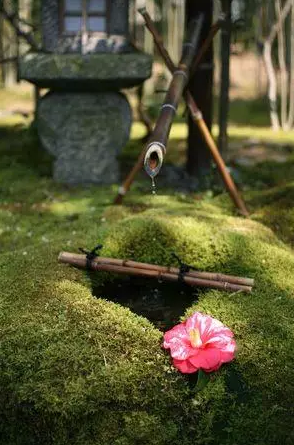園林鑒賞：日本庭院中的美學禪意
