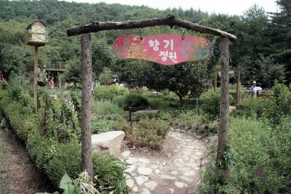 締造通話——韓國香草王國農園