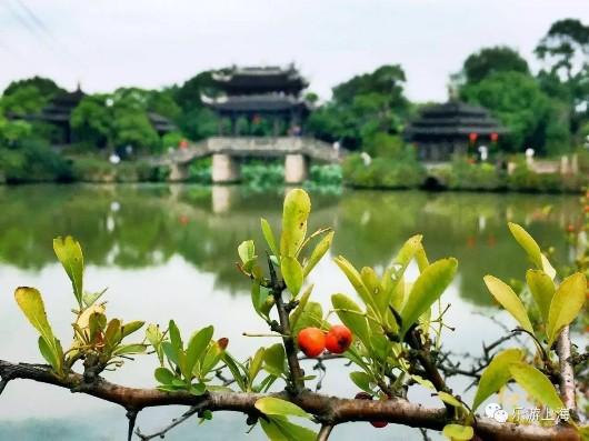上海這個深藏不露的絕美園林免費開放10天