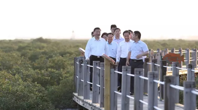 東方園林助力“一帶一路”項目環境治理