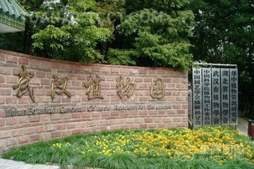 武漢植物園生物多樣性監測網絡基地揭牌