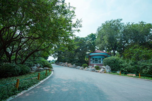 案例：濟南泉城公園防災避險規劃設計