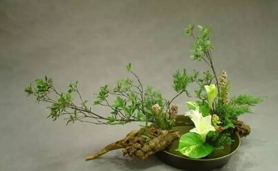 東方插花三大原則，構(gòu)圖表現(xiàn)形式和十三要訣