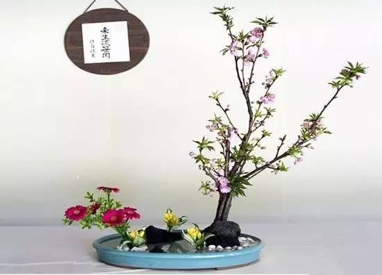 東方插花三大原則，構(gòu)圖表現(xiàn)形式和十三要訣