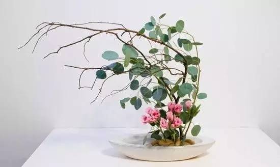 東方插花三大原則，構(gòu)圖表現(xiàn)形式和十三要訣