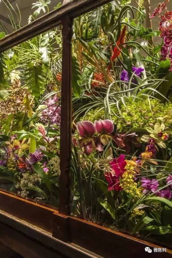 櫥窗布置：植物世界可以多極致？
