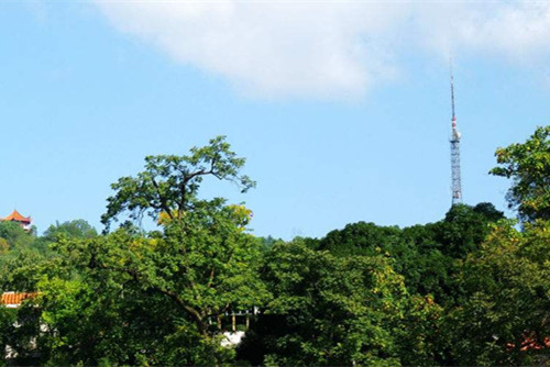 棕櫚園林：湖南吉首市城建項目試水PPP模式