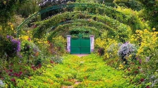 草本花卉在園林綠化與城市景觀建設中的作用