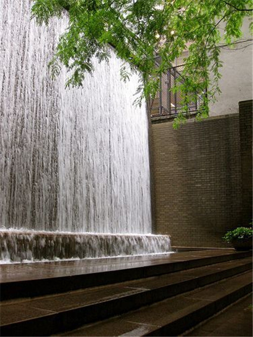 雨水花園：永續利用花園和園林中的水資源