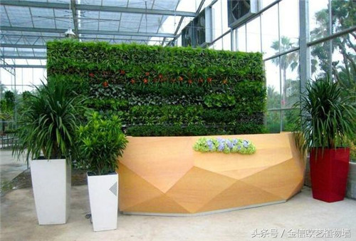 立體綠化植物墻為何這么受歡迎？