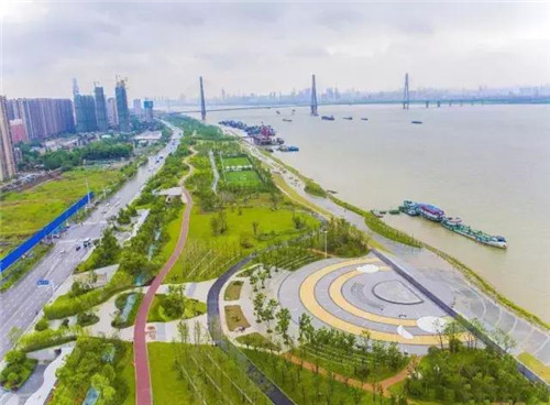 武漢最大江灘廣場的雨水花園