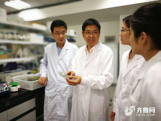 山東農(nóng)業(yè)大學揭示激素調(diào)控植物干細胞機理