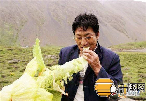 塔黃：植物界長得像大白菜的“九層妖塔”
