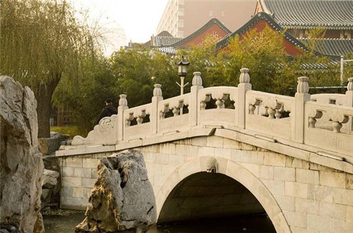 作品案例：大觀園的園林設(shè)計