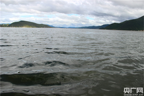 退耕還濕社區(qū)共管 納帕海濕地生態(tài)保護(hù)見(jiàn)實(shí)效