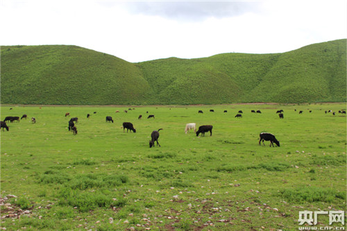 退耕還濕社區(qū)共管 納帕海濕地生態(tài)保護(hù)見(jiàn)實(shí)效