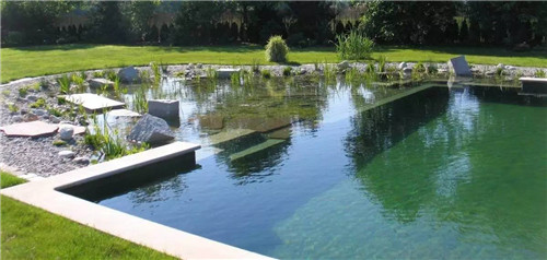 Natural swimming pool　打造夏日生態泳池