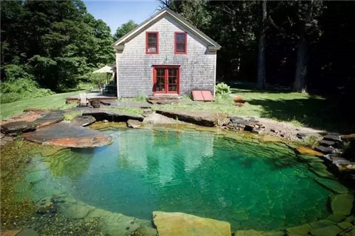 Natural swimming pool　打造夏日生態泳池