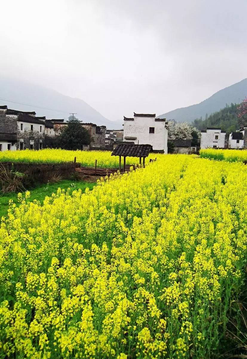 別讓大量興起的旅游建筑破壞了鄉(xiāng)村景觀