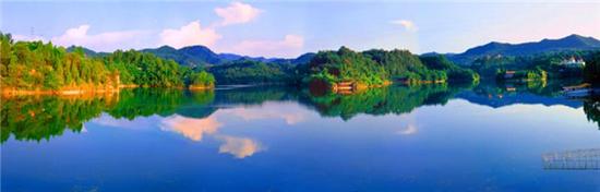 四川蓬安國家森林公園通過專家評審