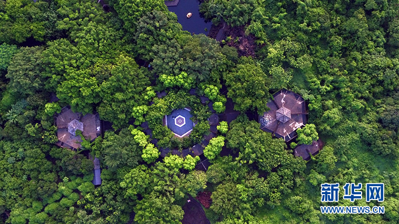 航拍海口石山火山群國家地質公園 