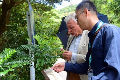 澳大利亞植物學家訪問梧桐山風景名勝區
