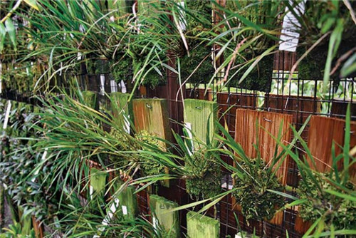 以更加自然地方式構(gòu)建植物綠墻