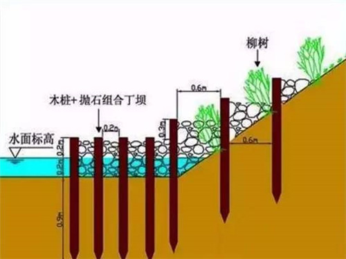 河道生態棲息地的修復設計與施工