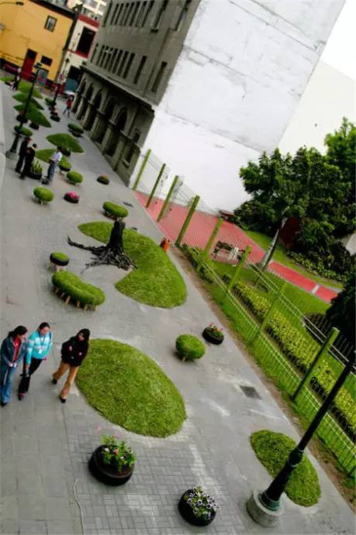 中國現代園林植物造景進階論