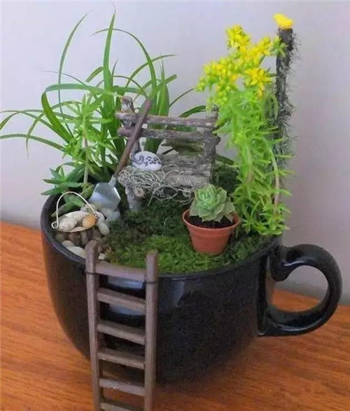 迷你微縮版花園，心都給萌化了