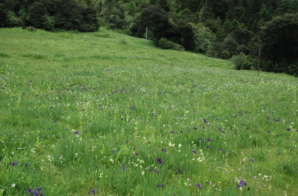 包滿珠：城市建設(shè)與屬地自然生態(tài)系統(tǒng)的保護(hù)