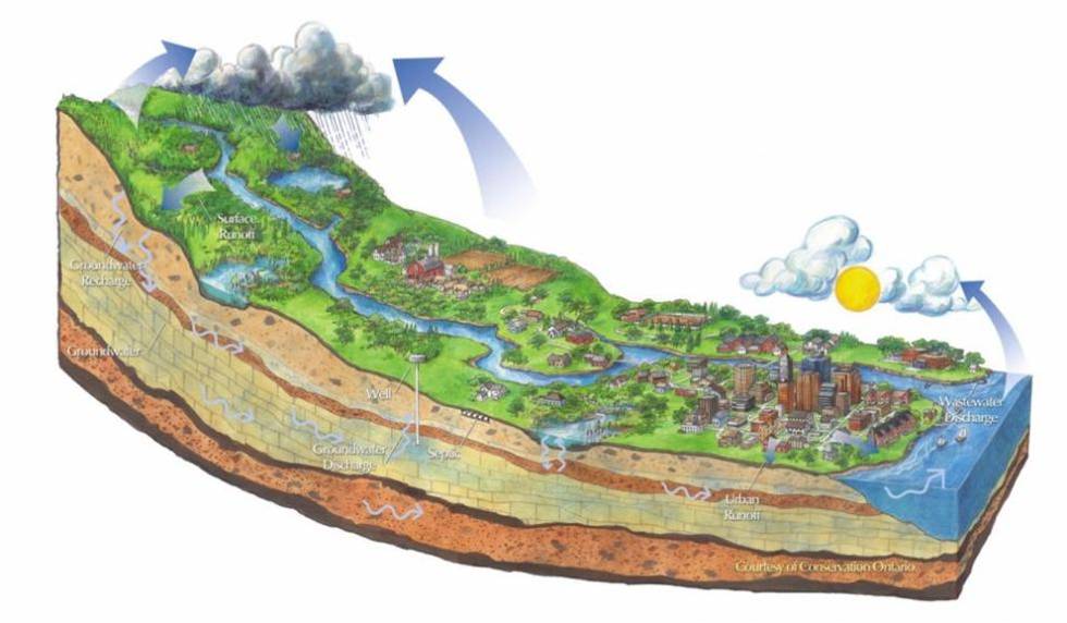 陳克林：爭創(chuàng)天藍(lán)、地綠、水凈國際濕地城市