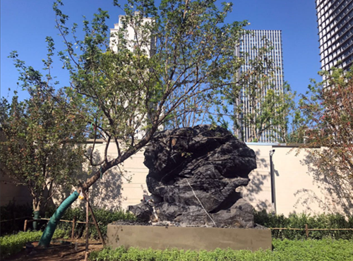 園冶杯專業(yè)獎：天津譽峰園園林景觀工程