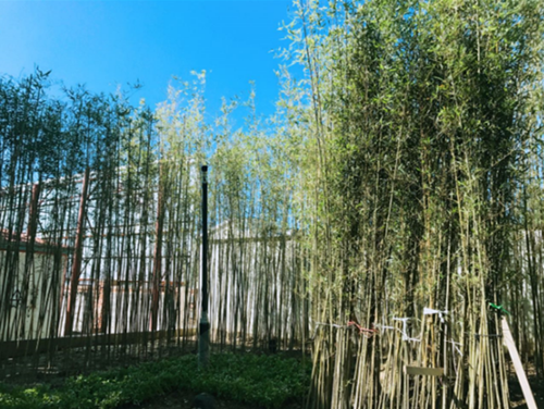園冶杯專業(yè)獎：天津譽峰園園林景觀工程