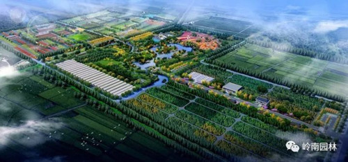 嶺南園林在新疆草湖鎮建立林業產業基地