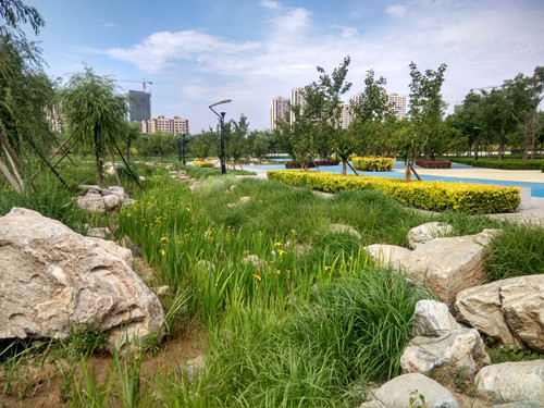園冶杯專業(yè)獎(jiǎng)：固安迎賓大道街角北、南公園