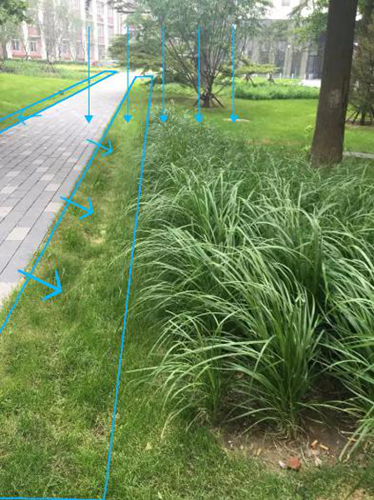 園冶杯專業獎：中航科研綜合樓項目景觀工程