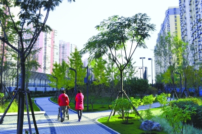 北京南二環邊“雨水花園”今起開放