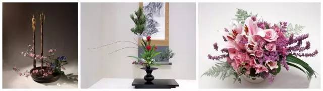 中式、日式、西式插花，最大的區別是什么？