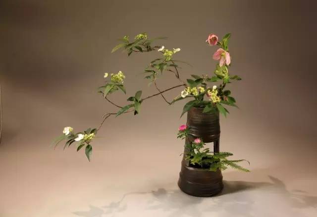 中式、日式、西式插花，最大的區別是什么？